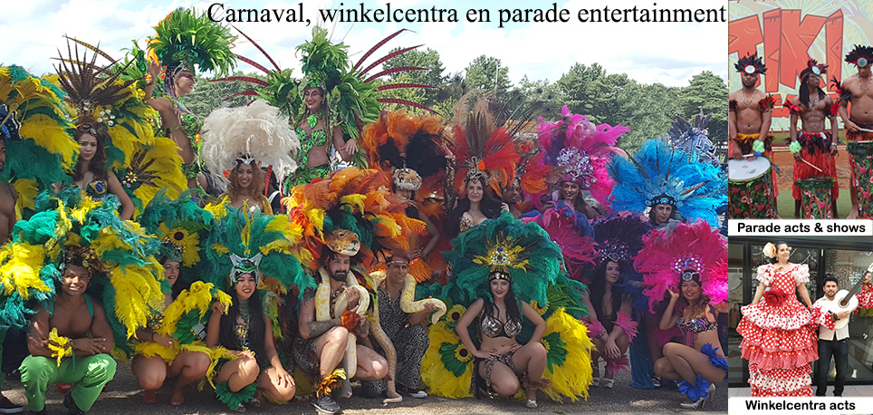 Braziliaanse carnaval in Rio