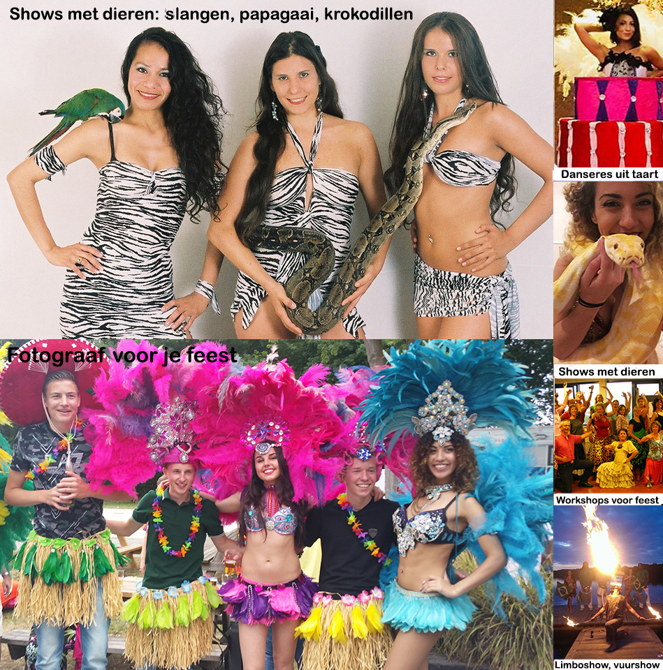 Samba danseres